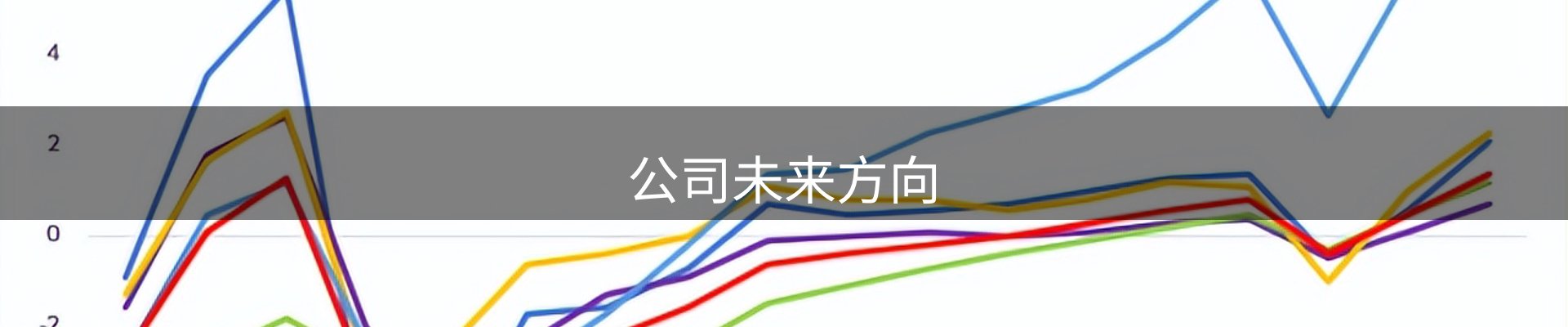 公司未来方向